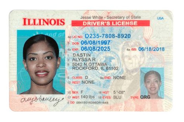 Does permit count as driver's license?