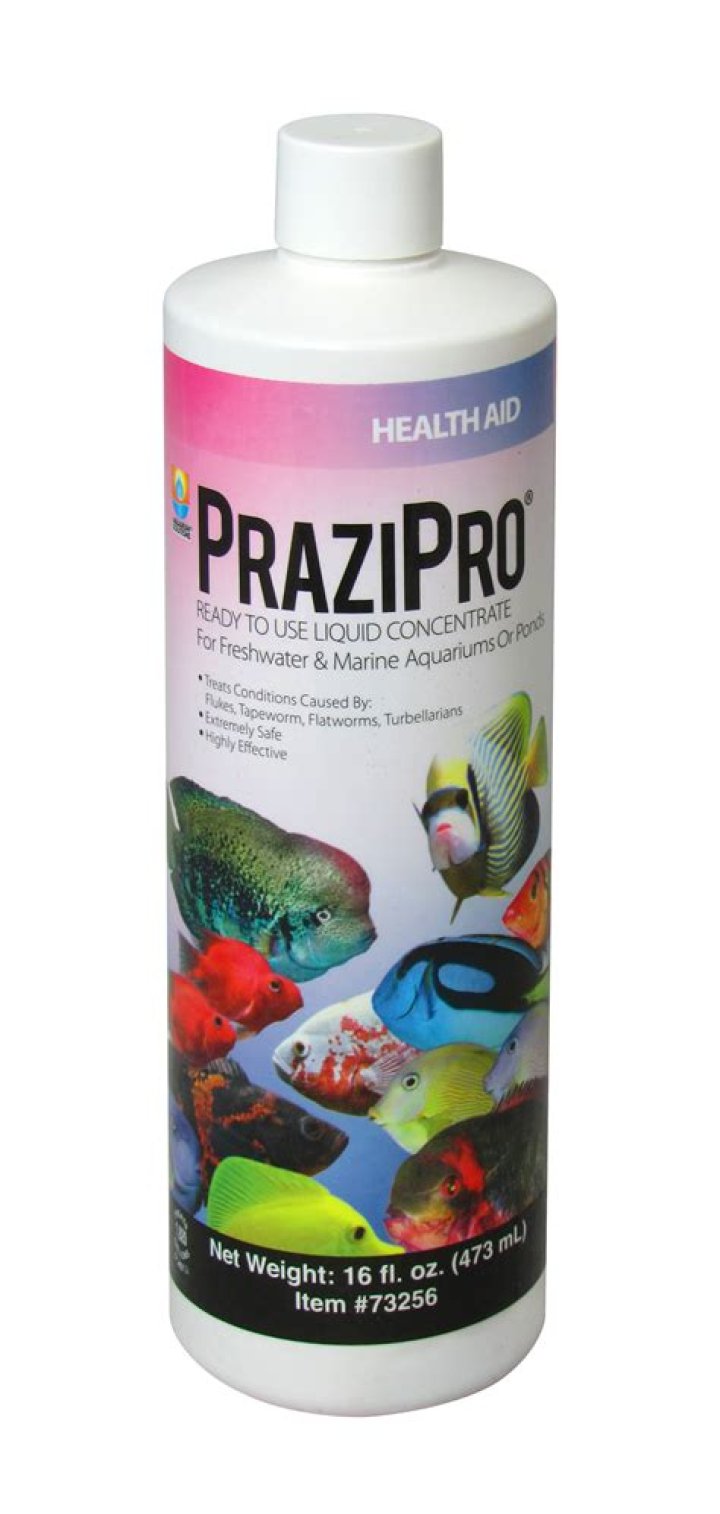 Does prazipro kill flatworms?