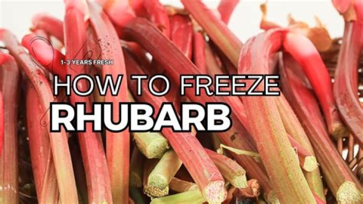 Does rhubarb need protecting from frost?