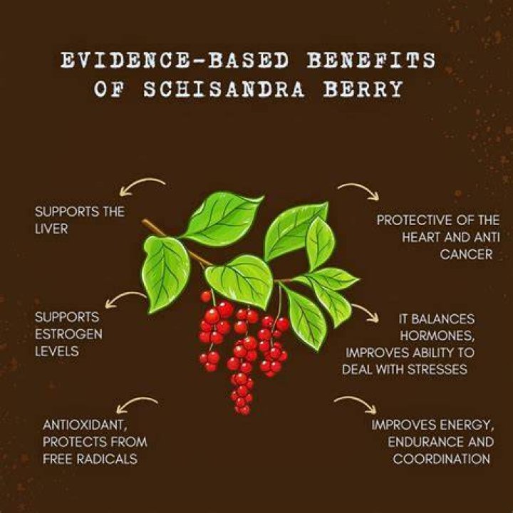 Does schisandra increase dopamine?