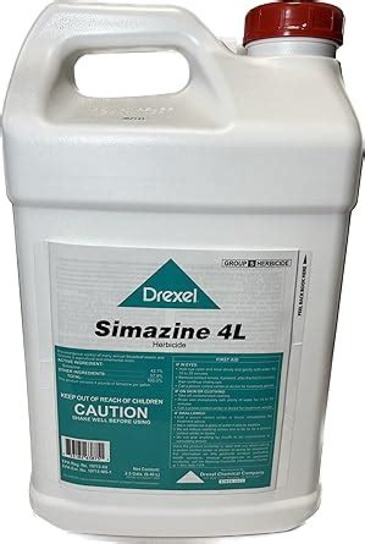 Does simazine kill grass?