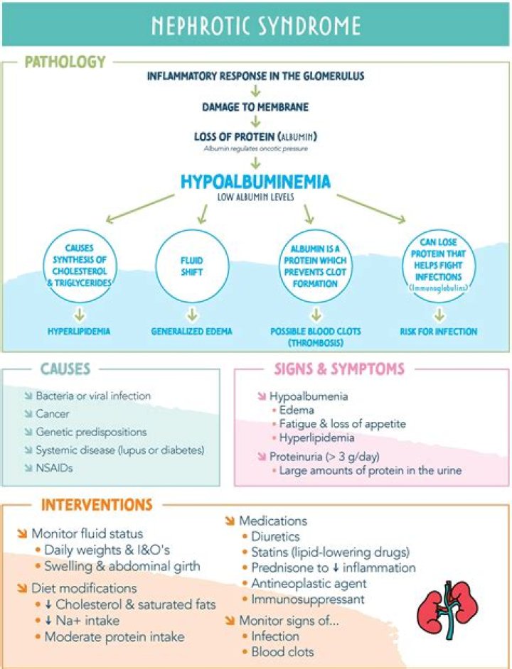 Does sle cause nephrotic syndrome?