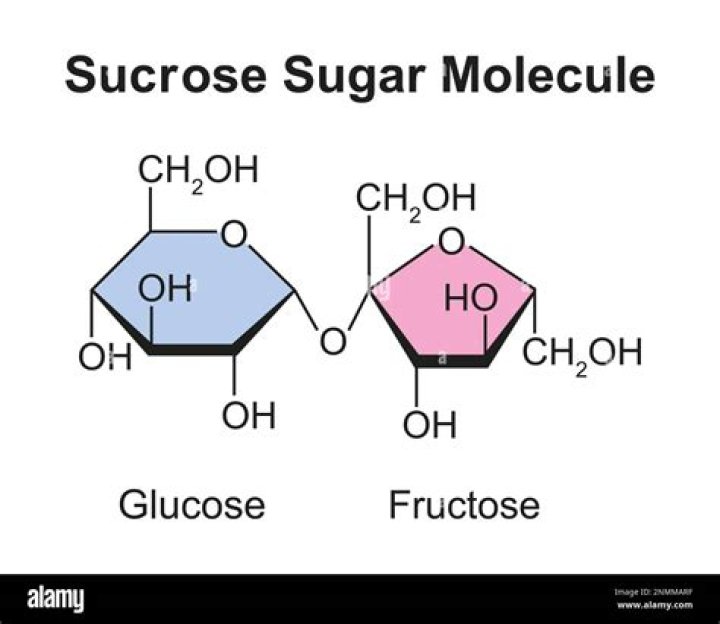 Does sucrose raise blood sugar?