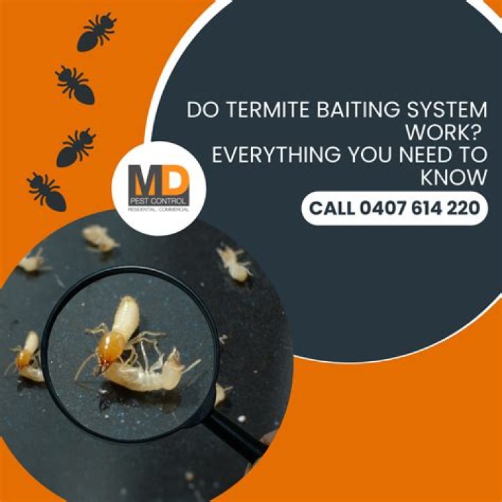 Does termite baiting work?