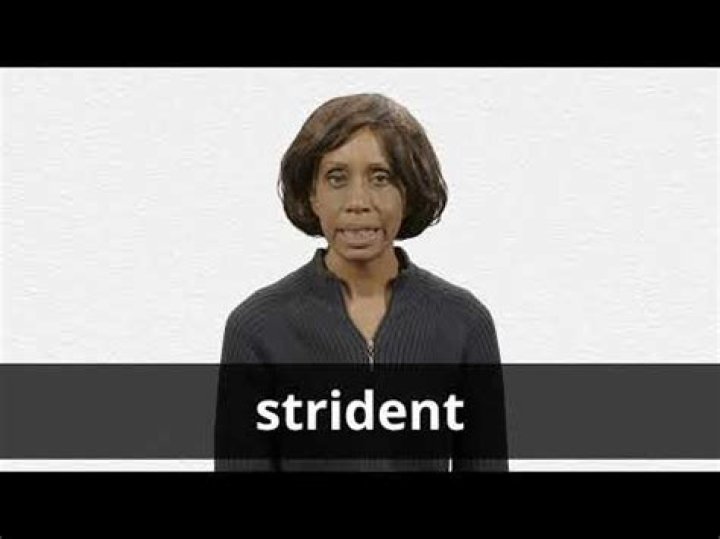 Does the word strident mean?