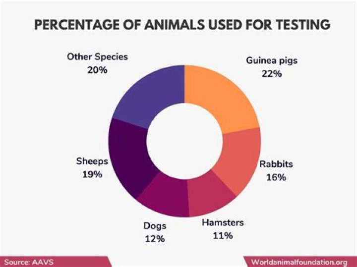 Does verso test on animals?