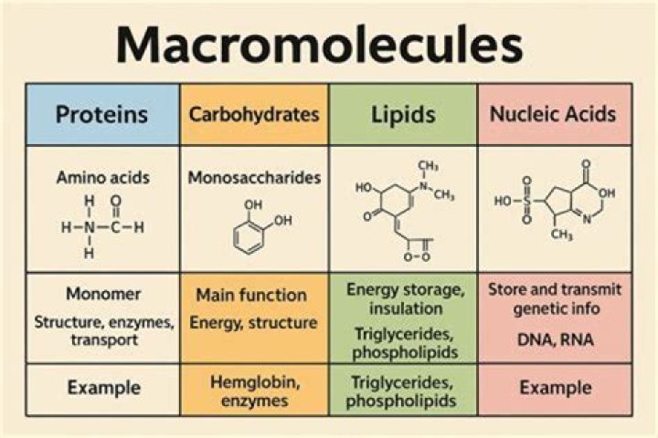 Does water have any macromolecules?