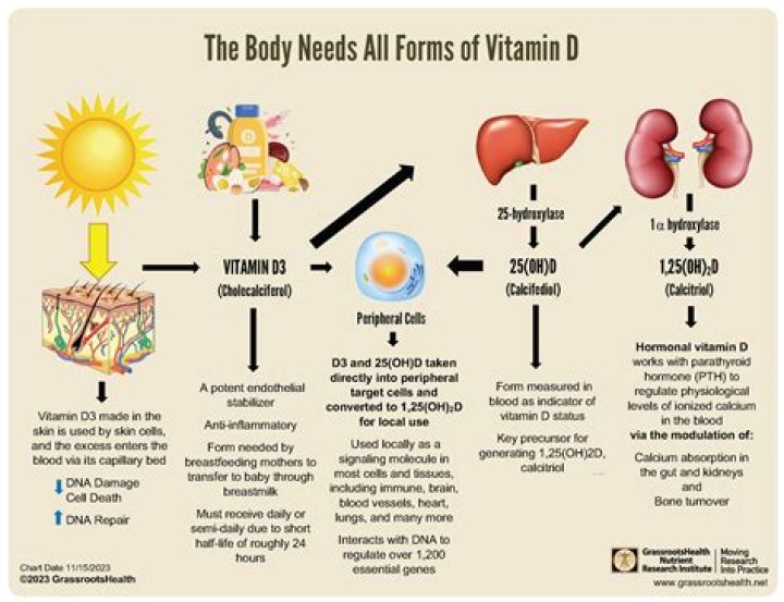 For what is vitamin d3?