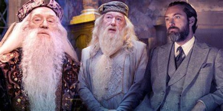 Has dumbledore got a brother?