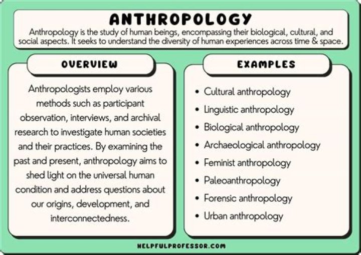How anthropologists study modern media?