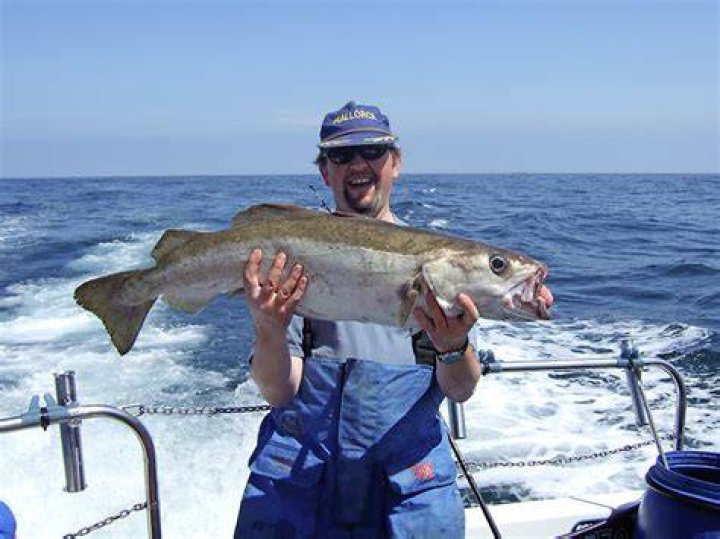 How big do whiting get?