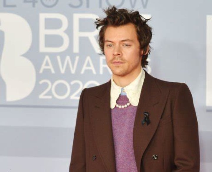 How did harry styles get famous?