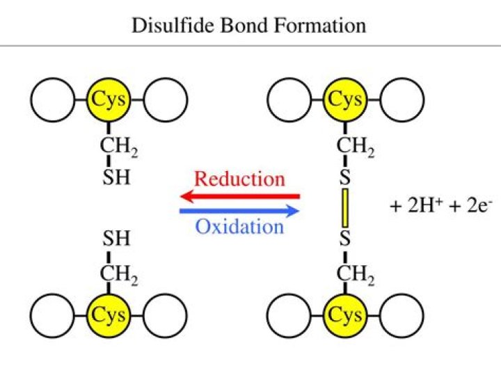 How disulfide bonds are formed?
