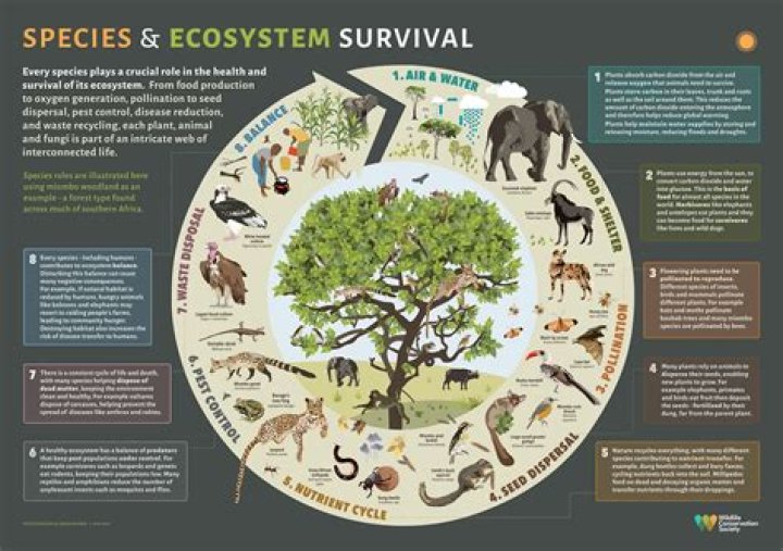 How do animals overproduce?