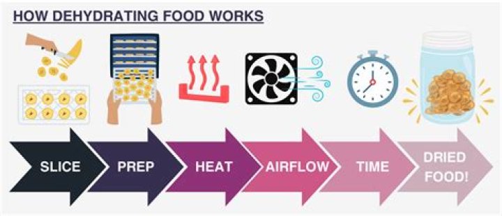 How do dehydrators work?