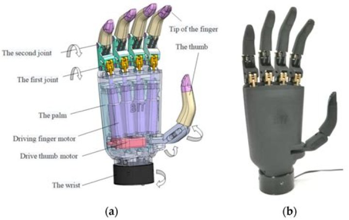 How do myoelectric arms work?