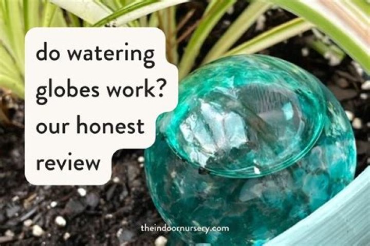 How do watering globes work?