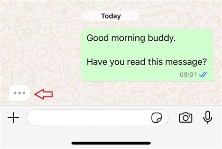 How do you know someone has read your message on WeChat?