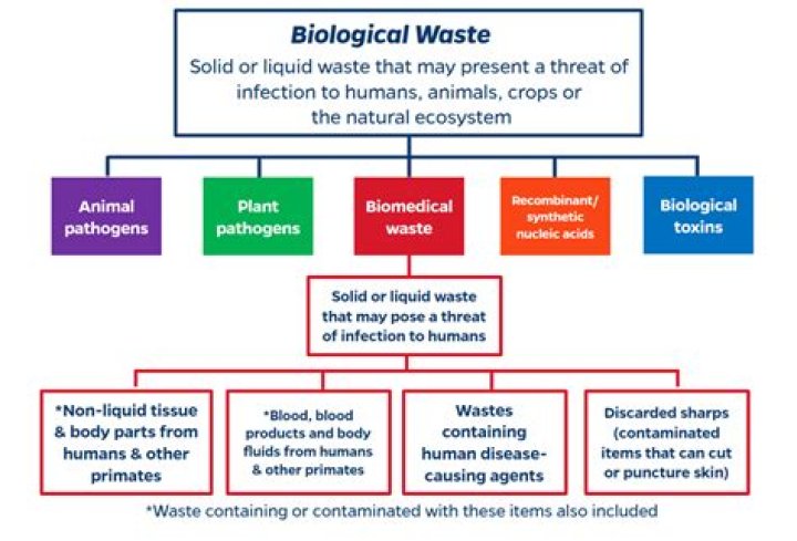 How do you store biological materials?