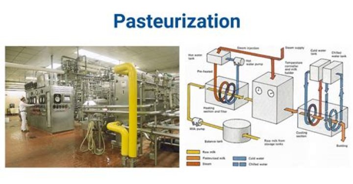 How does a pasteurizer work?