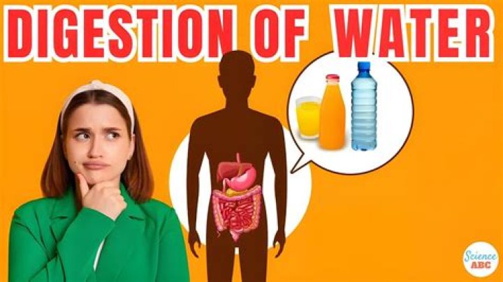 How does water enter the human body?