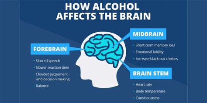 How drinking affects the brain?