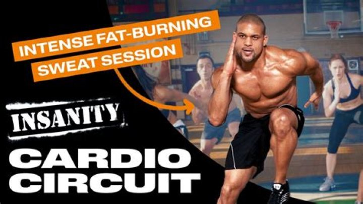 How insanity workout works?