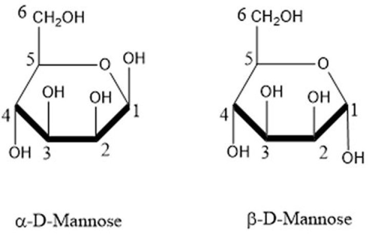 How is d mannose made?