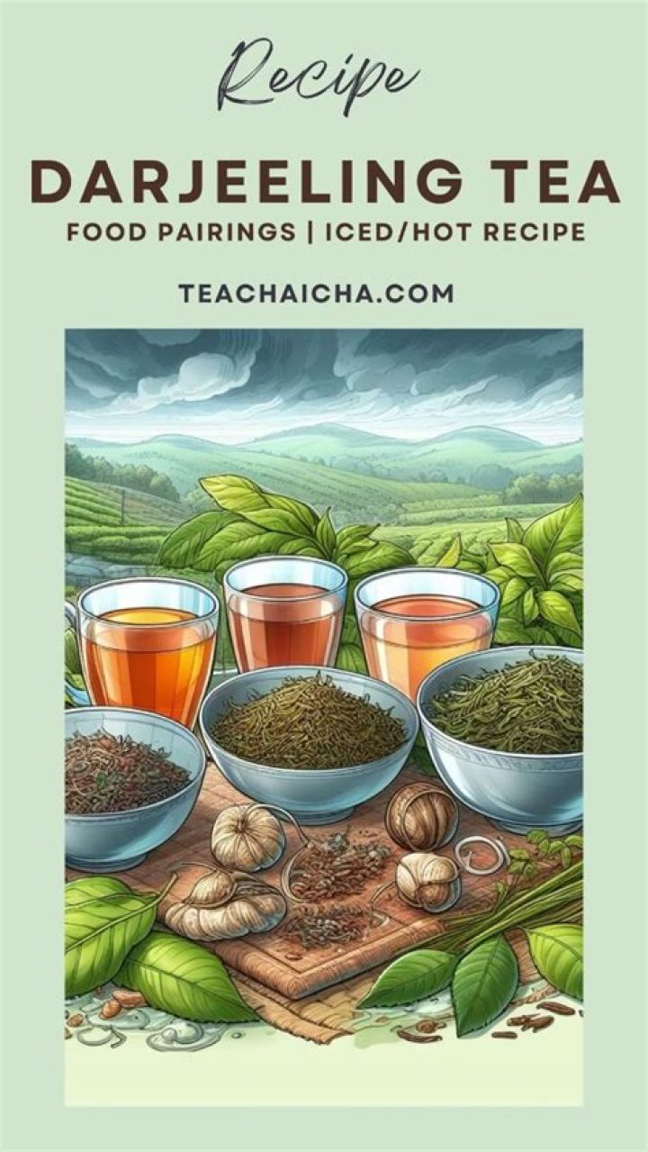How is darjeeling tea made?