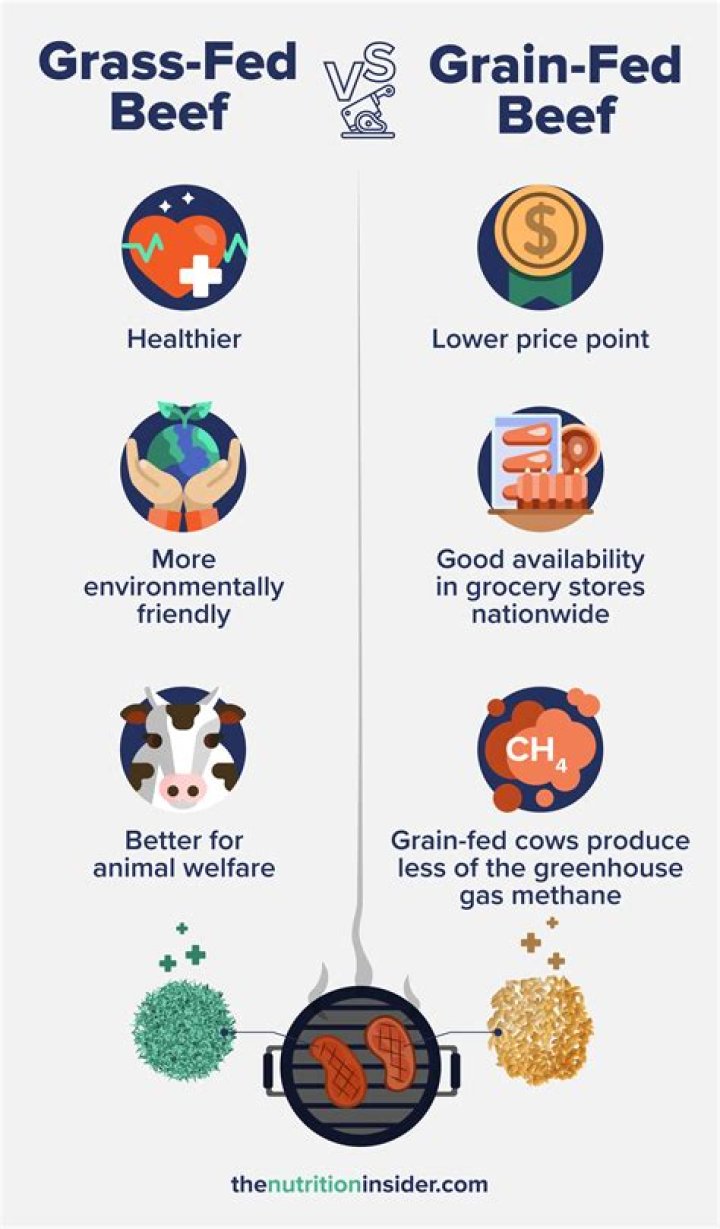 How is grass fed beef better for the environment?