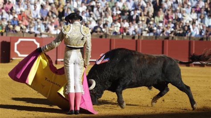 How is la corrida de toros?