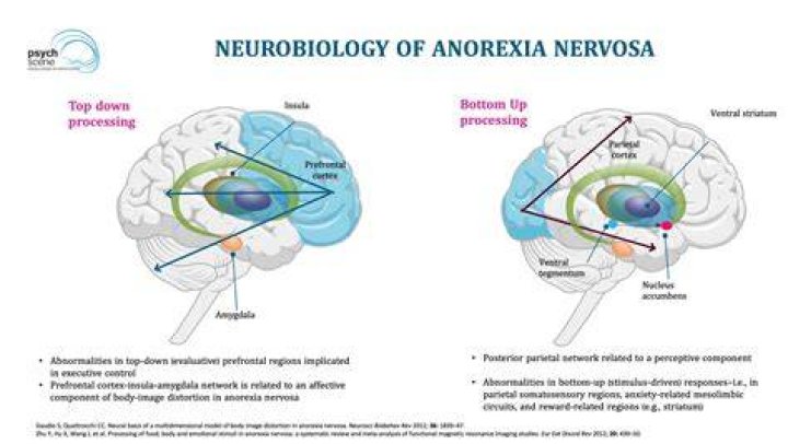How long anoxia before brain damage?