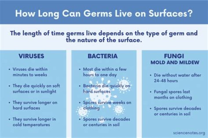 How long do cold germs live on paper?