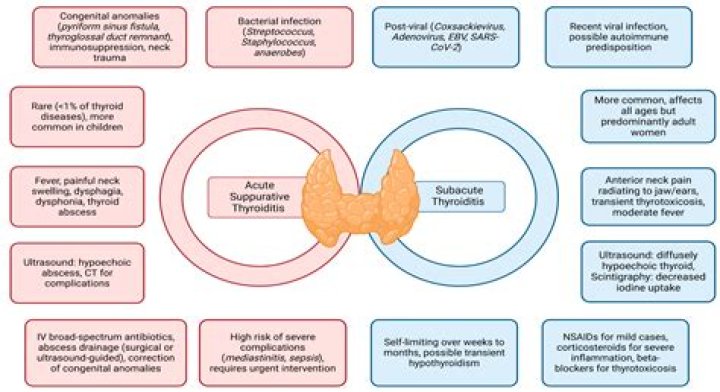How long does subacute thyroiditis last?