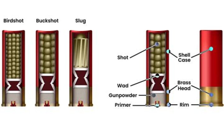 How many shotshells in a case?