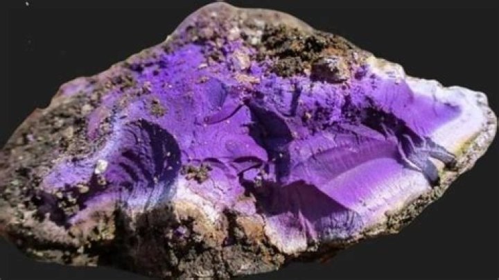 How much is tyrian purple worth?