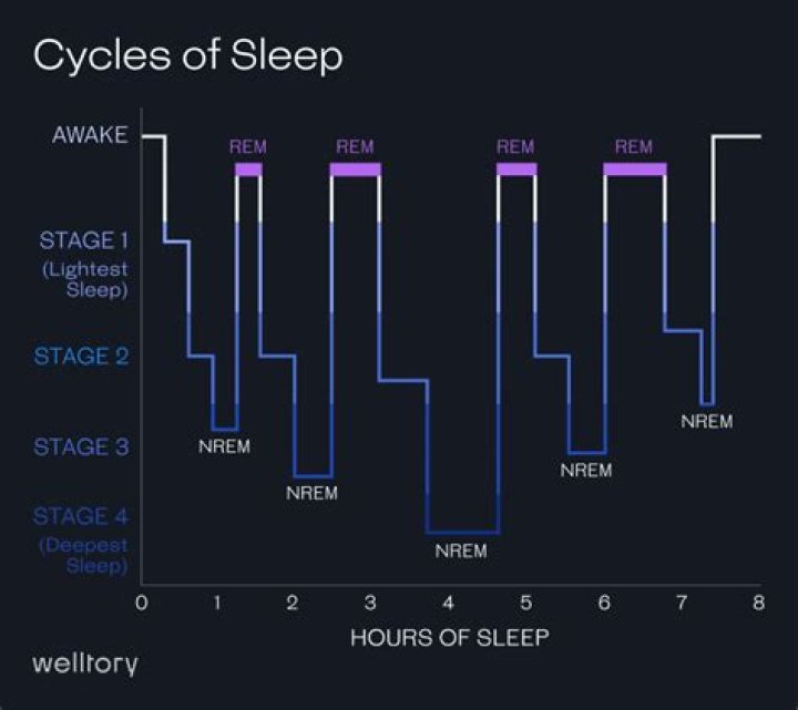 How much REM sleep do you need Oura?