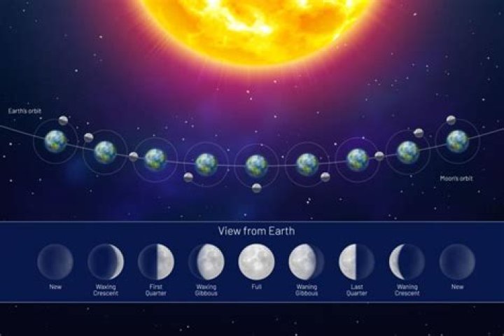 How phases does the moon have?