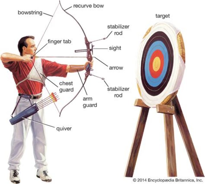 How quickly does an arrow kill?