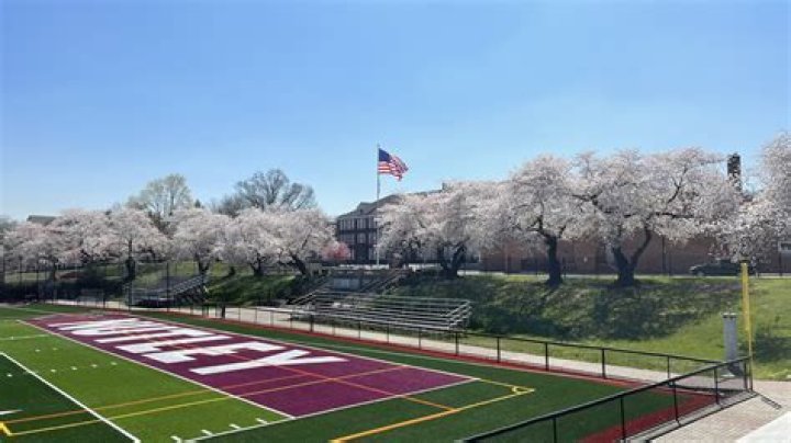 How safe is nutley nj?