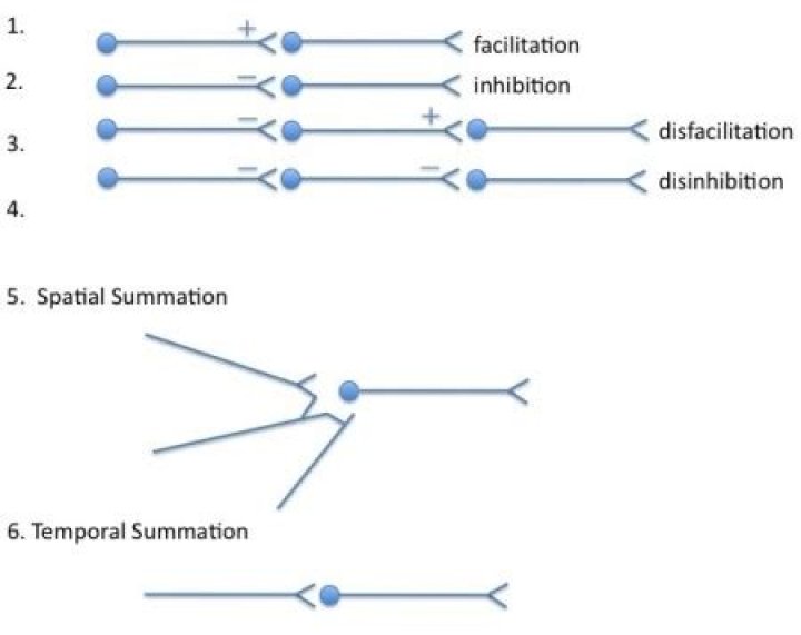How temporal summation can be observed?