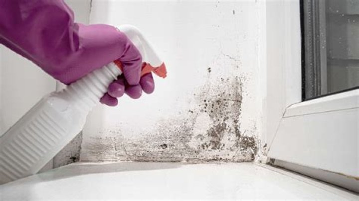 How to clean mould?