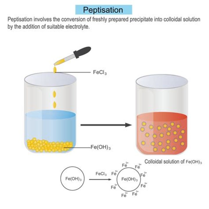 How to explain peptization?