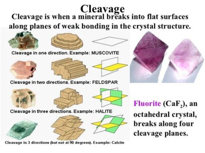 How to identify cleavage?