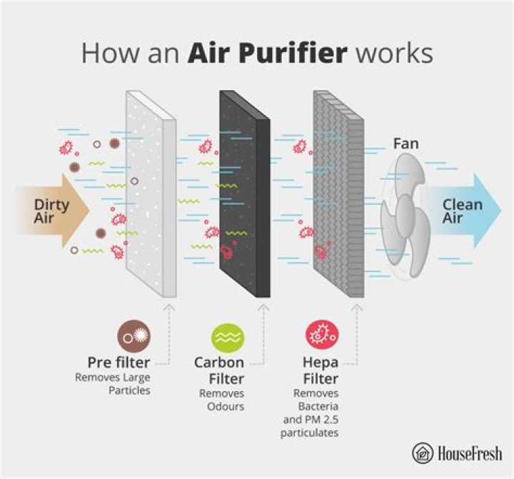 How to purifiers work?