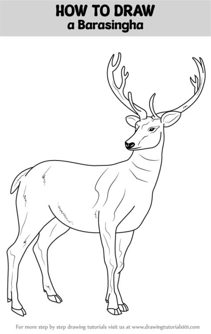 How to say barasingha?