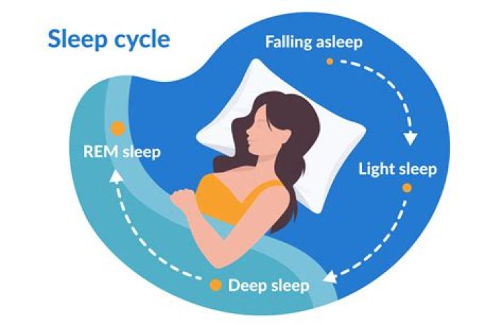 How to start biphasic sleep?