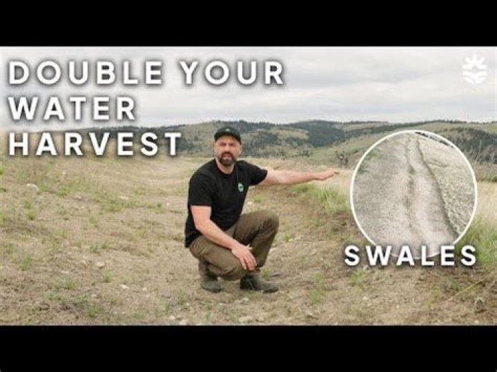 How to use swales?