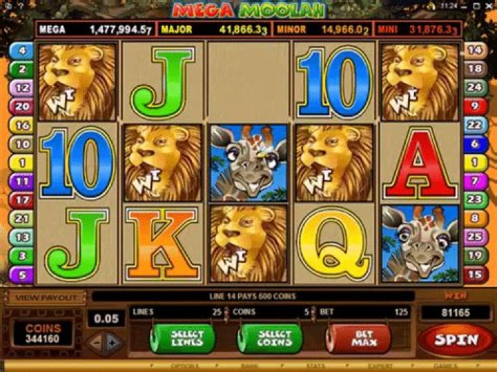 How to win mega moolah?