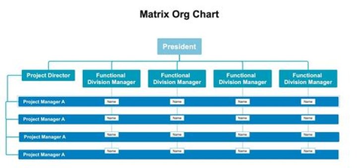 In a matrix organizational structure?
